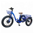 24 Inch 750W China Cargo Adult 3 Wheel Electric Tricycle